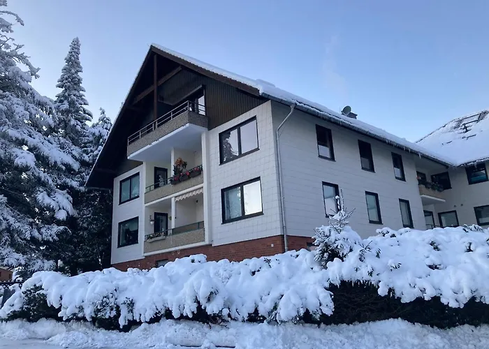 Mitten In Braunlage Mit Tollem Ausblick